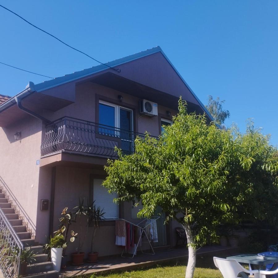 Apartment Andjela Belgrád Kültér fotó